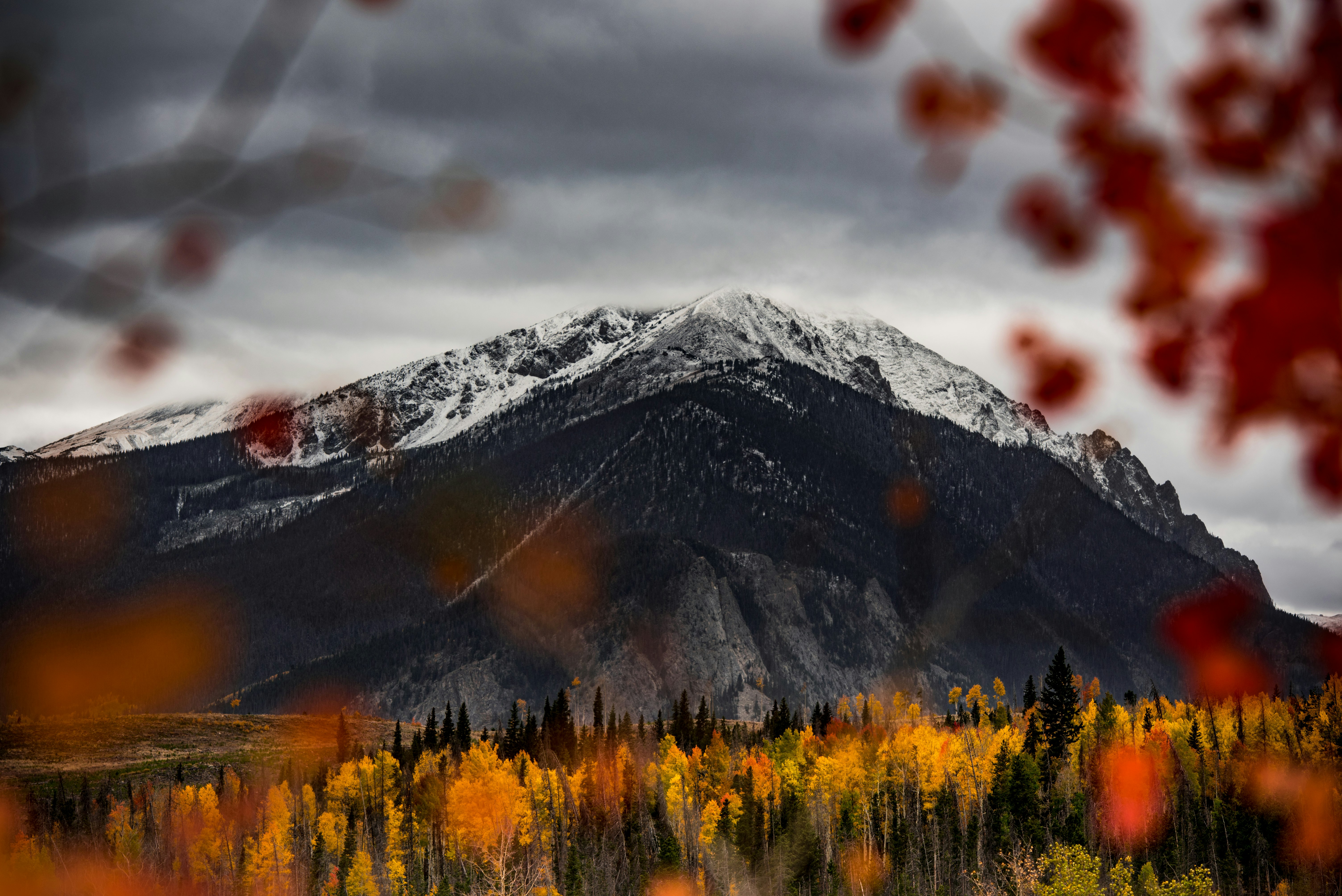 mountain across plant field during cloudy day